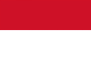 nation flag